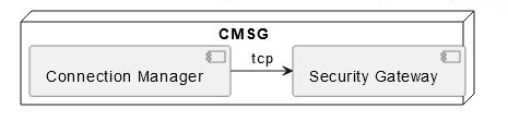 CMSG TCP