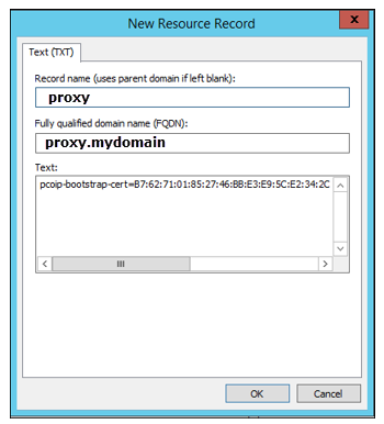 Reverse Proxy DNS Test Record
